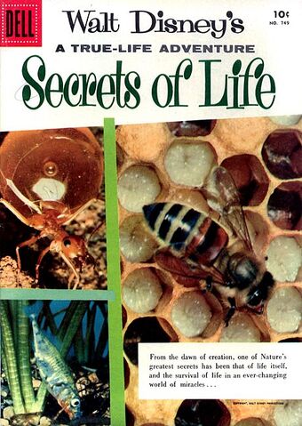 File:Secretsoflife.0.jpg