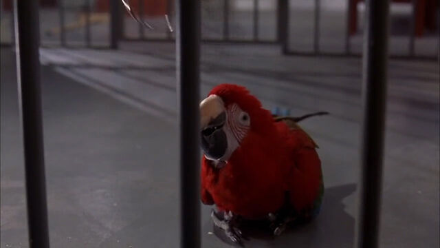 File:102-dalmatians-disneyscreencaps com-7573.jpg