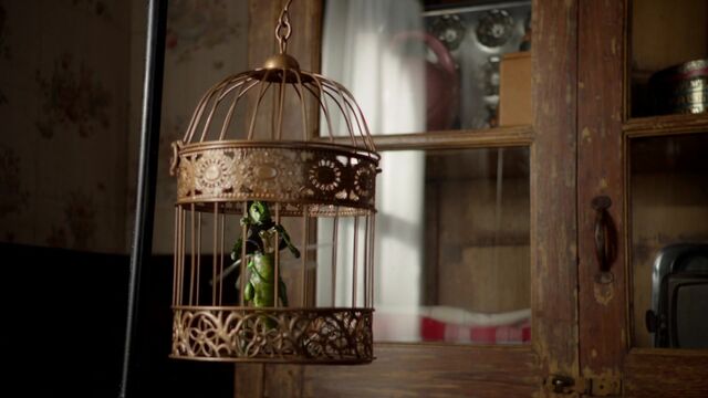 File:Once Upon a Time - 6x05 - Street Rats - Archie Turns Into a Cricket.jpg