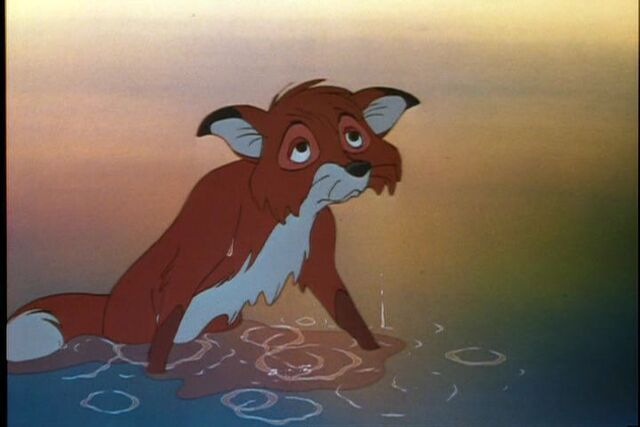 File:Tod as an Adult.jpg