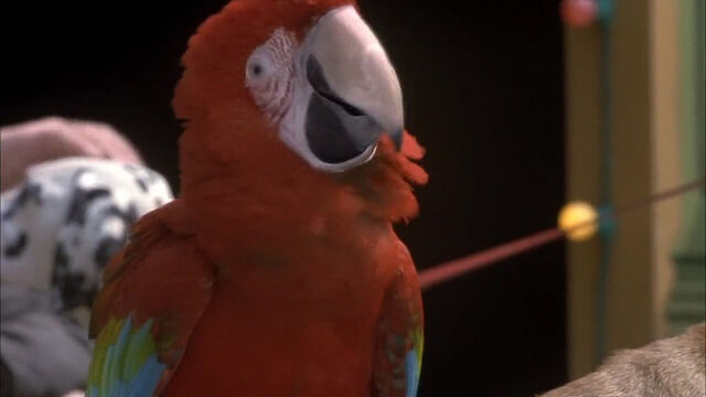 File:102-dalmatians-disneyscreencaps com-3941.jpg