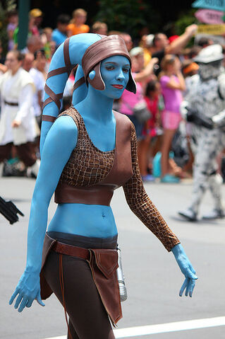 File:AAYlA SECURA Disney Parck.jpg