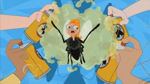 File:Fly on the Wall.jpg