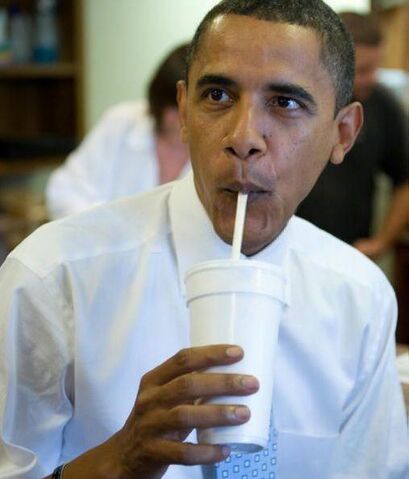 File:PresidentAmused.jpg