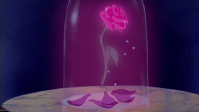 File:Beauty-disneyscreencaps com-3855.jpg