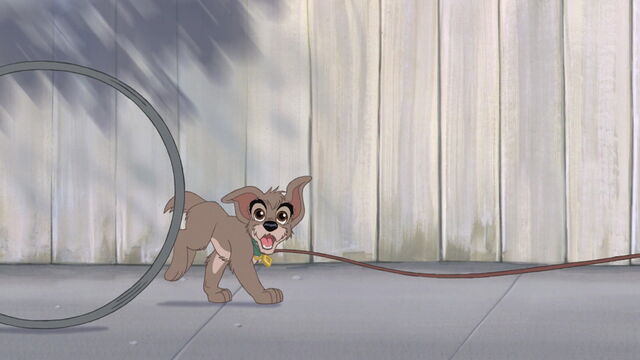 File:Lady-tramp-2-disneyscreencaps.com-162.jpg