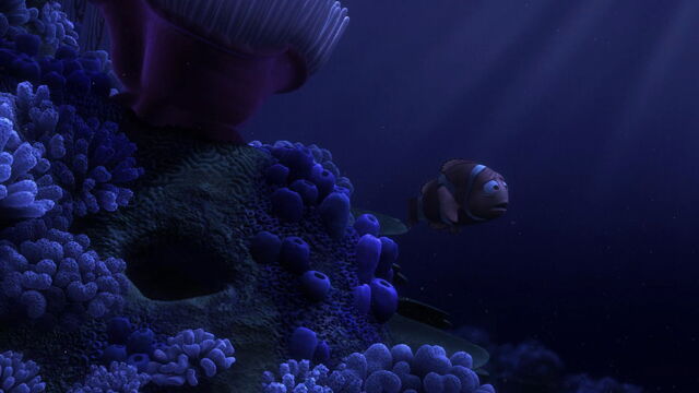File:Finding-nemo-disneyscreencaps.com-357.jpg