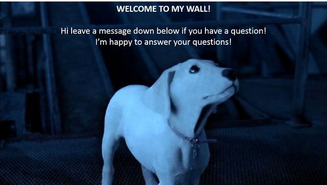 File:AmazonAlexa99Message-Wall2.png