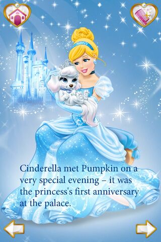 File:CinderellaPet.jpg