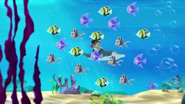 File:Fish in hurry.png