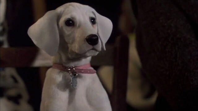 File:102-dalmatians-disneyscreencaps.com-4070.jpg