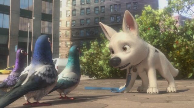 File:Bolt-disneys-bolt-5762963-800-448.jpg