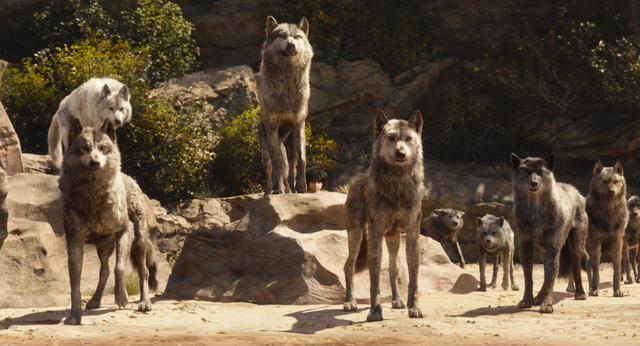File:Jungle Book 2016 112.png
