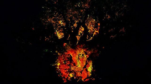 File:Tree-of-life-awakenings-at-Disneys-Animal-Kingdom-5.jpg
