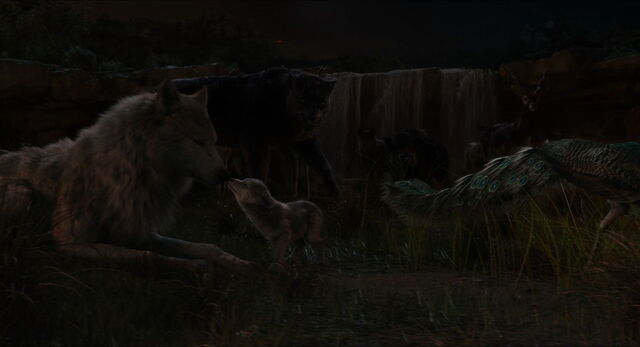 File:Jungle-book-2016-disneyscreencaps.com-10850.jpg
