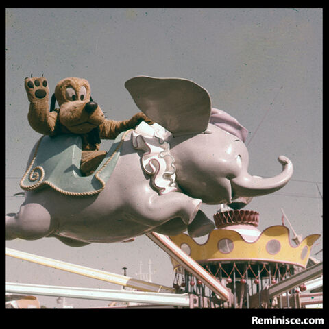 File:Pluto on dumbo.jpg