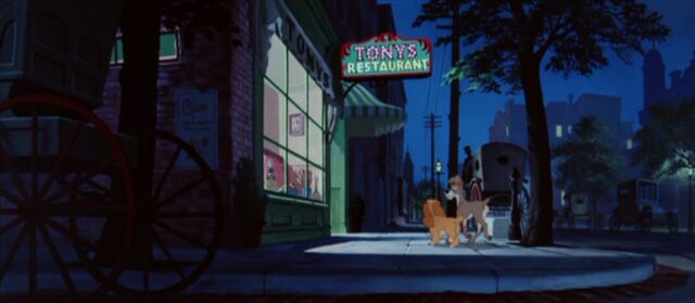 File:Tumblr njxmqbBmO31qhcrb0o1 1280.jpg