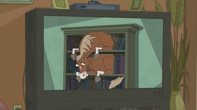 File:Horse in a Bookcase.jpg