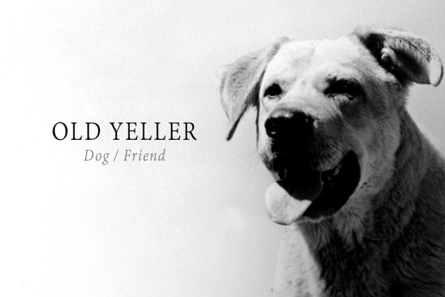 File:Old-yeller-lead.png