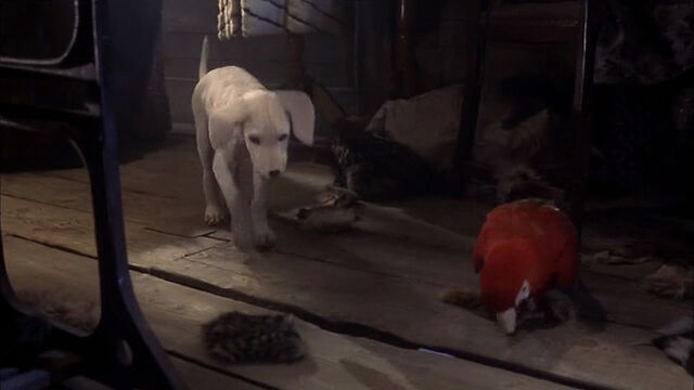 File:102-dalmatians-disneyscreencaps com-8766.jpg