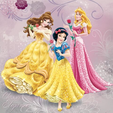 File:Disney-Princess-34426886-1024-1024.jpg