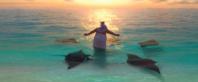 File:Moana-106.png