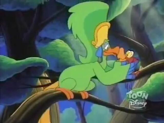 File:Coocooforiago.jpg