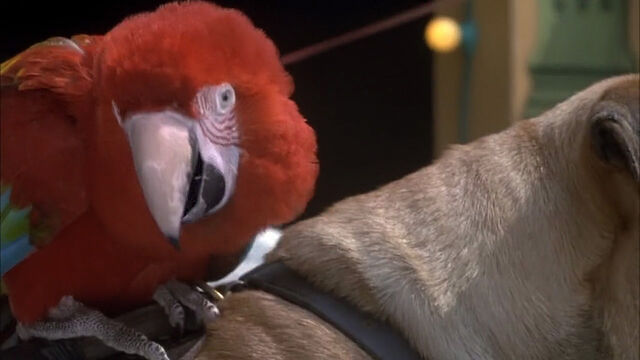 File:102-dalmatians-disneyscreencaps com-3935.jpg