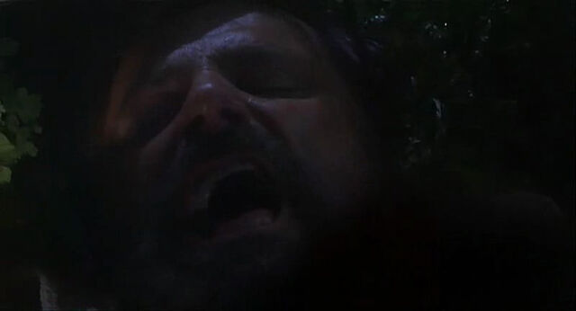 File:Mighty-joe-young-disneyscreencaps.com-707.jpg