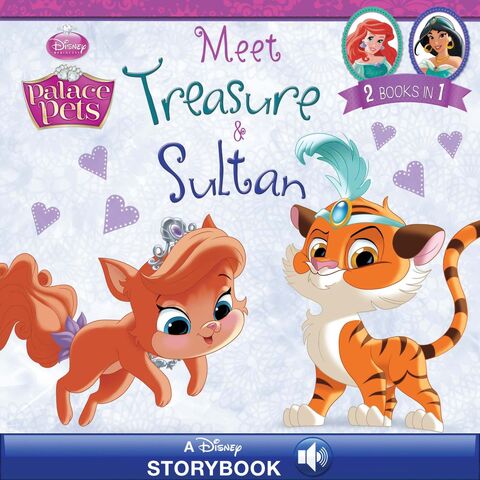 File:Meet Treasure and Sultan Book.jpg