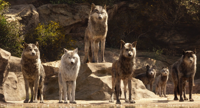 File:Jungle Book 2016 116.png