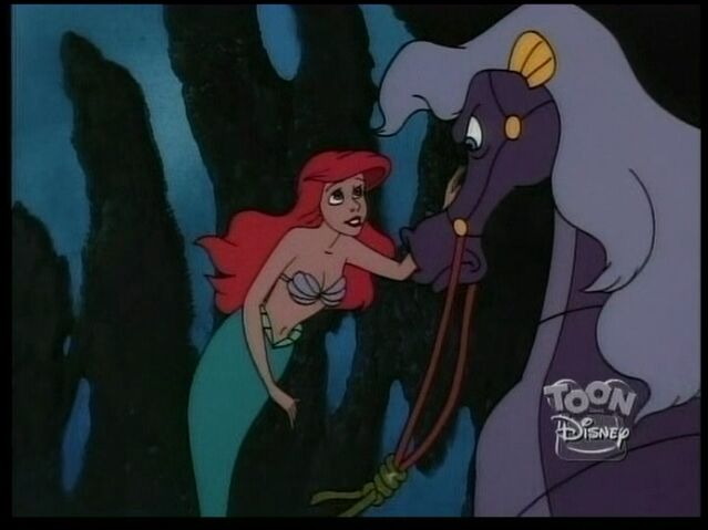 File:StormySeahorse27.jpg