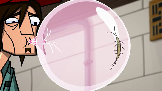File:GossipBoy - silverfish.jpg