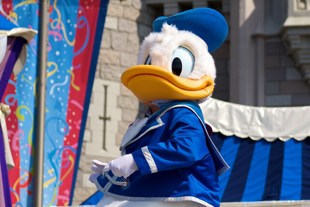 File:3493937617 f437659bd4 b.jpg
