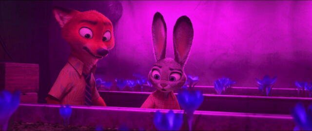 File:Zootopia-disneyscreencaps.com-9925.jpg