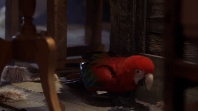 File:102-dalmatians-disneyscreencaps com-8703.jpg