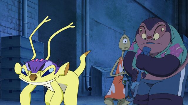 File:ScreenCapture 21.02.13 17-43-42.jpg
