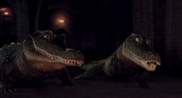 File:The-wild-disneyscreencaps.com-3559.jpg