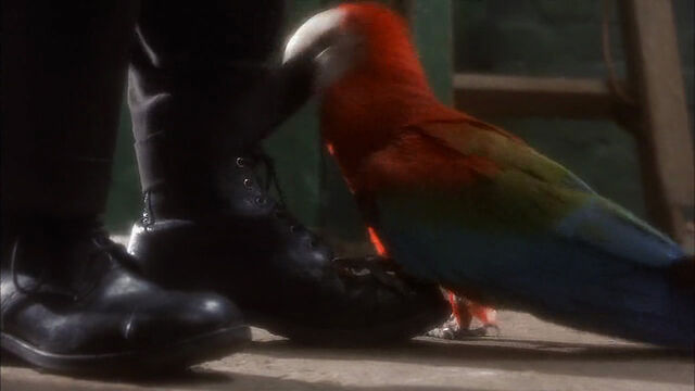 File:102-dalmatians-disneyscreencaps com-1079.jpg