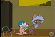 Chasing Rufus