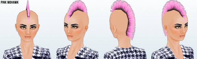 File:Career - Pink Mohawk.png