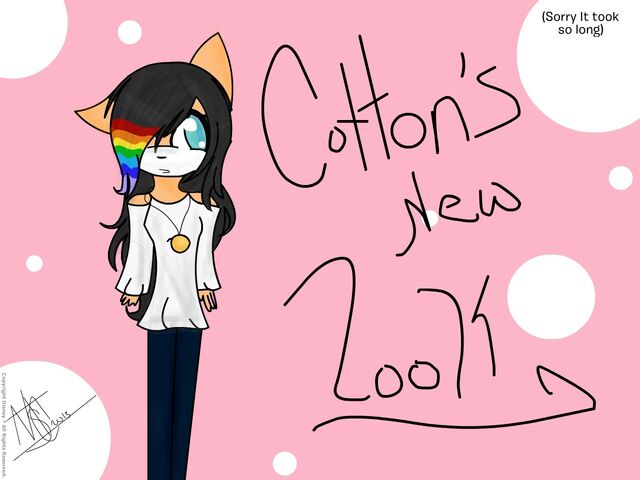 File:Disney-Create-Minecraft4ever-Cottons-New-Look-3.jpg