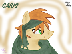 Ponies