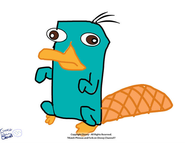File:Perrytheplaytypus.jpg