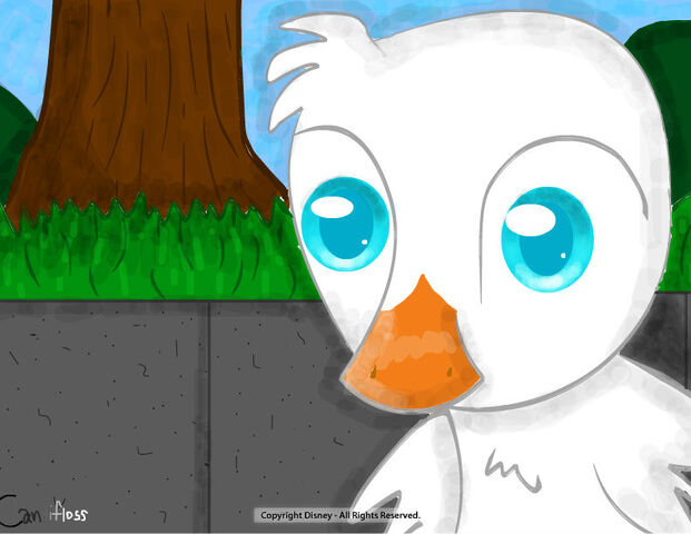 File:Babyduck.jpg