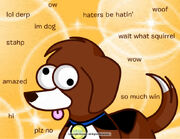 Beagle
