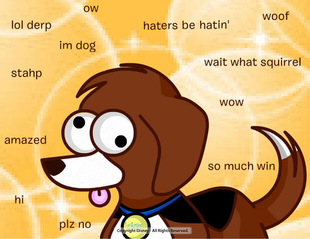 File:Beagle.jpg