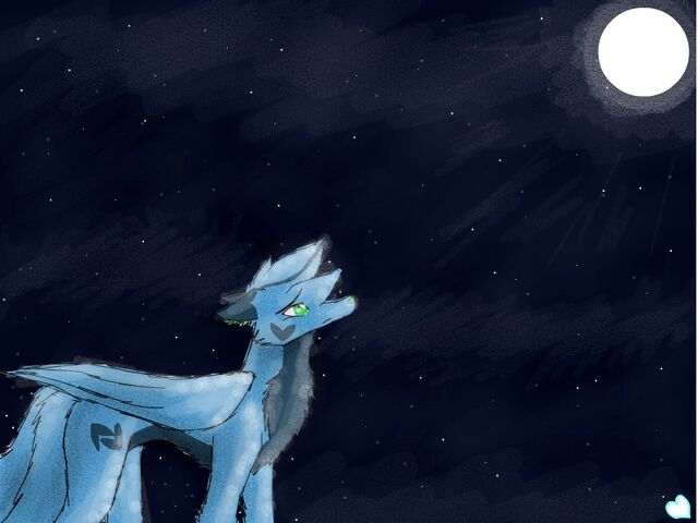 File:Kaymen Moonlit.jpg