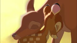 Bambi2-disneyscreencaps.com-2387
