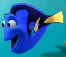 Dory-1-